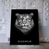 DISZIPLIN - Mockup mit Hintergrund 2 - Hustling Sharks
