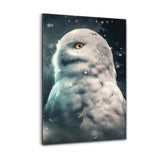 Alu-Dibond Bild - Snowy Owl - Hustling Sharks