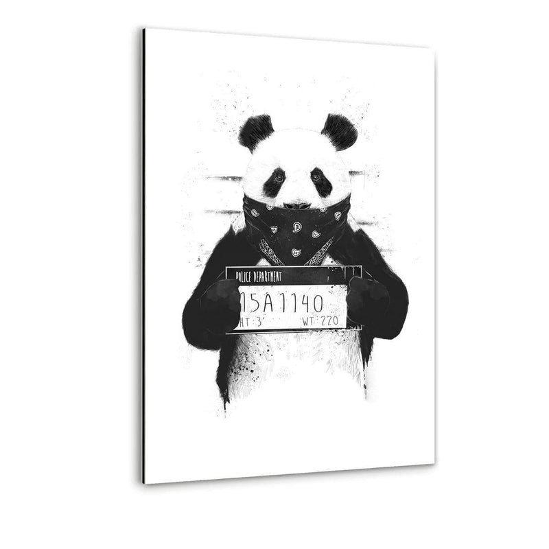 Bad Panda - Alu-Dibond Bild - Hustling Sharks