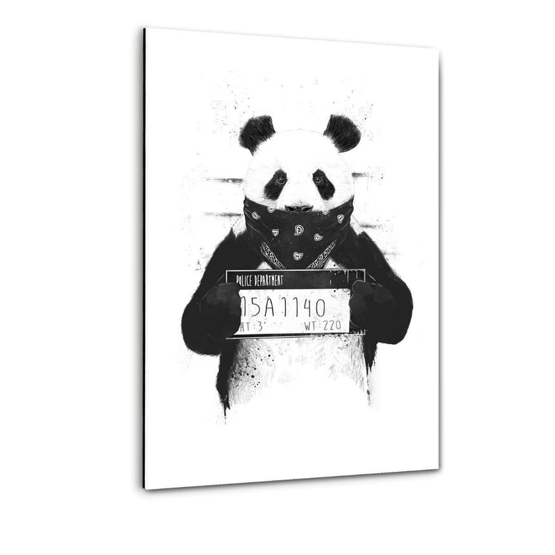 Bad Panda - Plexiglasbild - Hustling Sharks