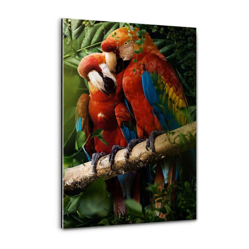 Beautiful Parrots - Plexiglasbild - Hustling Sharks