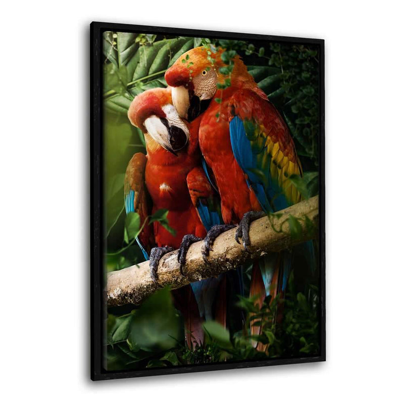 Beautiful Parrots - Leinwandbild mit Schattenfuge "schwarz" - Hustling Sharks