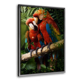 Beautiful Parrots - Leinwandbild mit Schattenfuge "silber" - Hustling Sharks