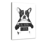 Being Normal Is Boring - Alu-Dibond Bild - Hustling Sharks
