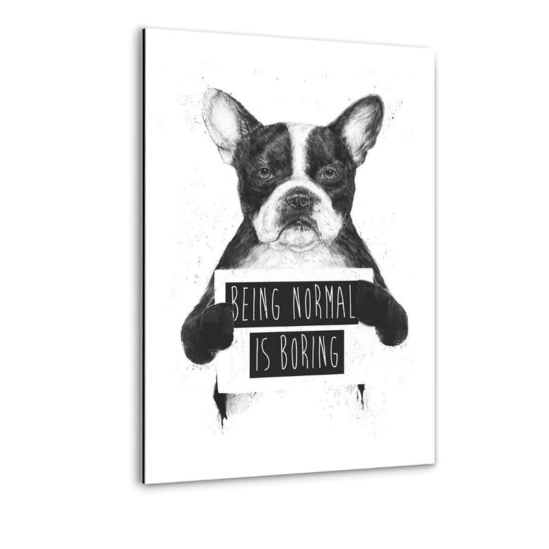 Being Normal Is Boring - Alu-Dibond Bild - Hustling Sharks