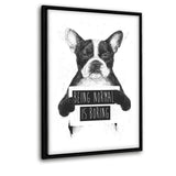 Being Normal Is Boring - Leinwandbild mit Schattenfuge "schwarz" - Hustling Sharks