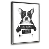 Being Normal Is Boring - Leinwandbild mit Schattenfuge "silber" - Hustling Sharks