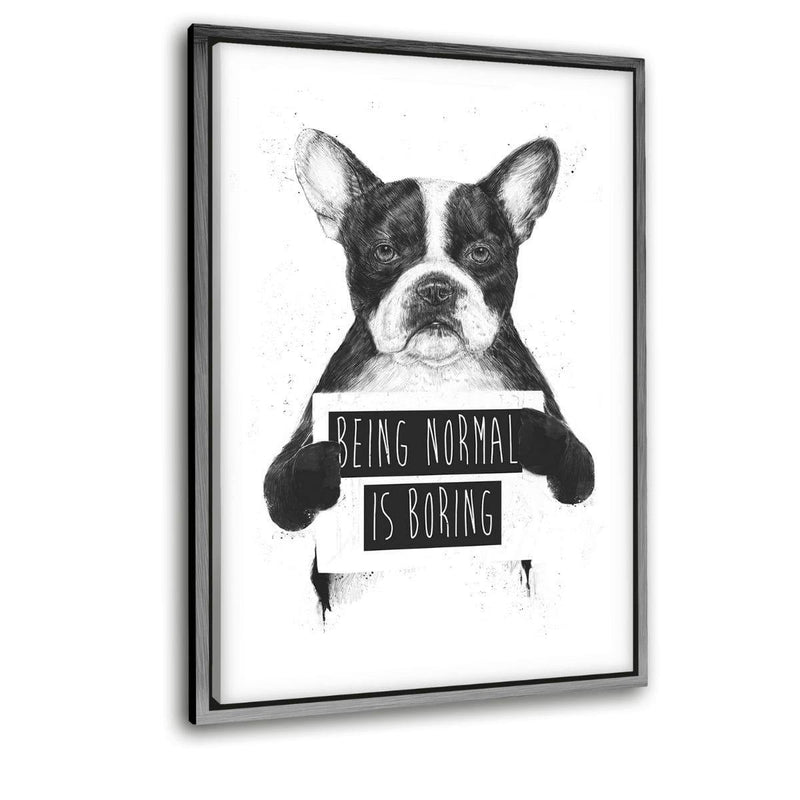 Being Normal Is Boring - Leinwandbild mit Schattenfuge "silber" - Hustling Sharks