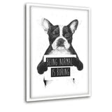 Being Normal Is Boring - Leinwandbild mit Schattenfuge "weiß" - Hustling Sharks
