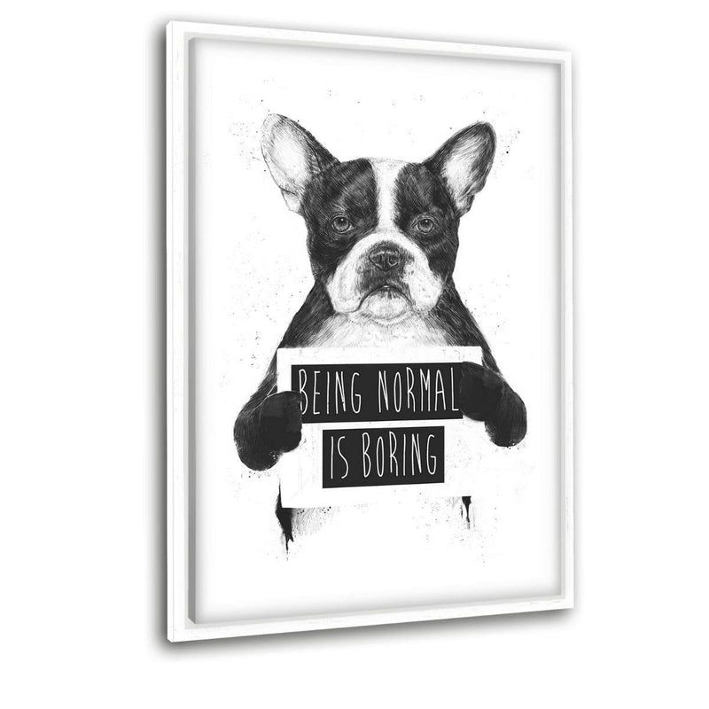 Being Normal Is Boring - Leinwandbild mit Schattenfuge "weiß" - Hustling Sharks