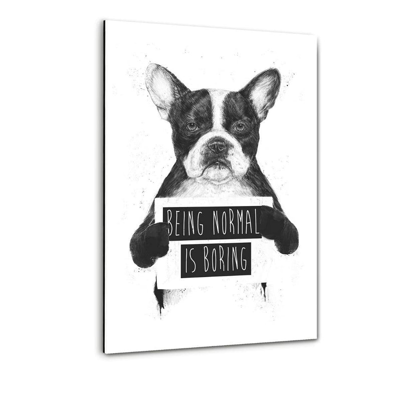 Being Normal Is Boring - Plexiglasbild - Hustling Sharks