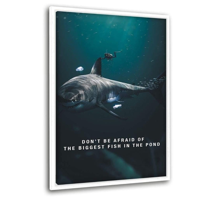 Biggest Fish In The Pond - Leinwandbild mit Schattenfuge "weiß" - Hustling Sharks
