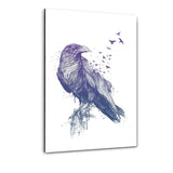 Born To Be Free - Plexiglasbild - Hustling Sharks