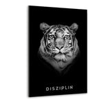 Eigenschaften des Erfolgs-Bundle | DISZIPLIN - Mockup| Hustling Sharks