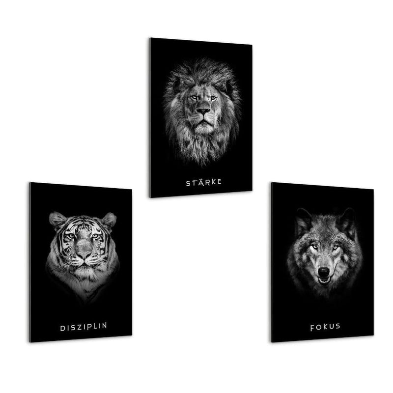 Eigenschaften des Erfolgs-Bundle | Bundle Mockup | Hustling Sharks