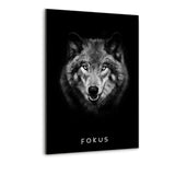 Eigenschaften des Erfolgs-Bundle | FOKUS - Mockup| Hustling Sharks