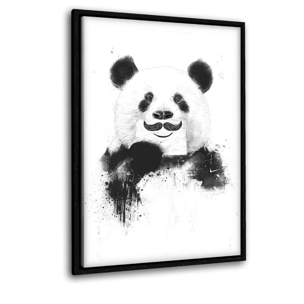 Funny Panda - Leinwandbild mit Schattenfuge "schwarz" - Hustling Sharks