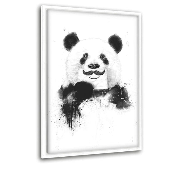 Funny Panda - Leinwandbild mit Schattenfuge "weiß" - Hustling Sharks