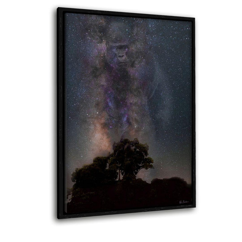 Galaxy Gorilla - Leinwandbild mit Schattenfuge "schwarz" - Hustling Sharks