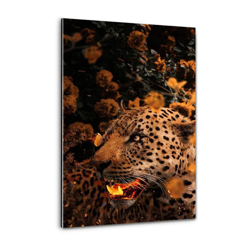 Goldener Leopard - Plexiglasbild - Hustling Sharks