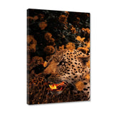 Goldener Leopard - Leinwandbild - Hustling Sharks