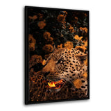 Goldener Leopard - Leinwandbild mit Schattenfuge "schwarz" - Hustling Sharks