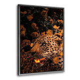 Goldener Leopard - Leinwandbild mit Schattenfuge "silber" - Hustling Sharks