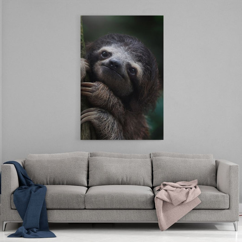 Leinwandbild mit Hintergrund 1 - Cute Sloth - Hustling Sharks