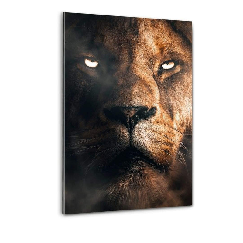 Lion Face - Plexiglasbild - Hustling Sharks