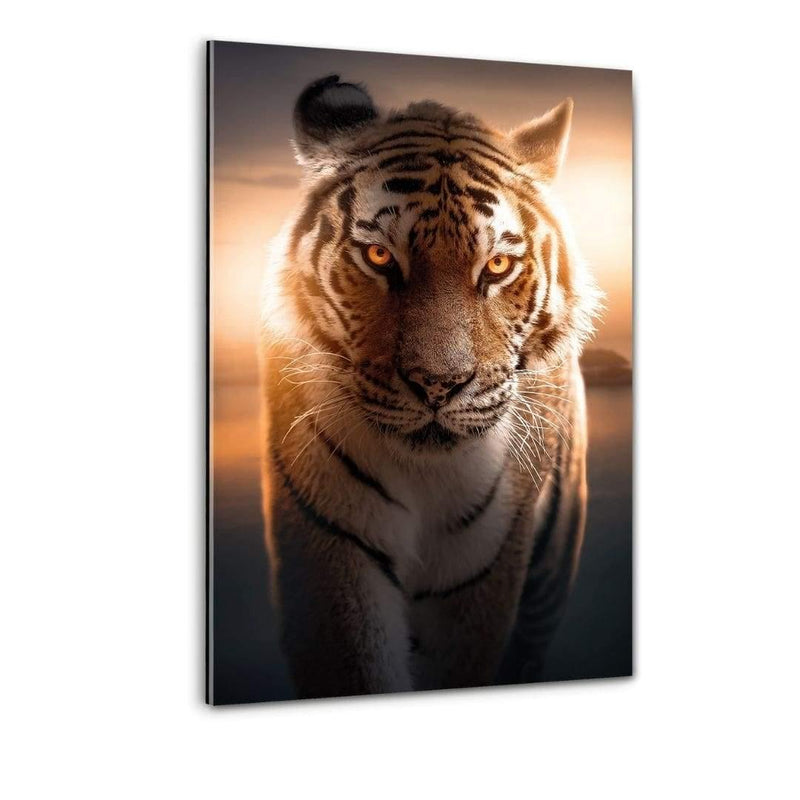 Majestic Tiger - Plexiglasbild - Hustling Sharks