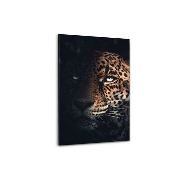Plexiglasbild - Wilder Jaguar - Hustling Sharks