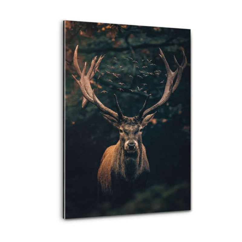 Moody Deer - Leinwandbild mit Schattenfuge "weiß"