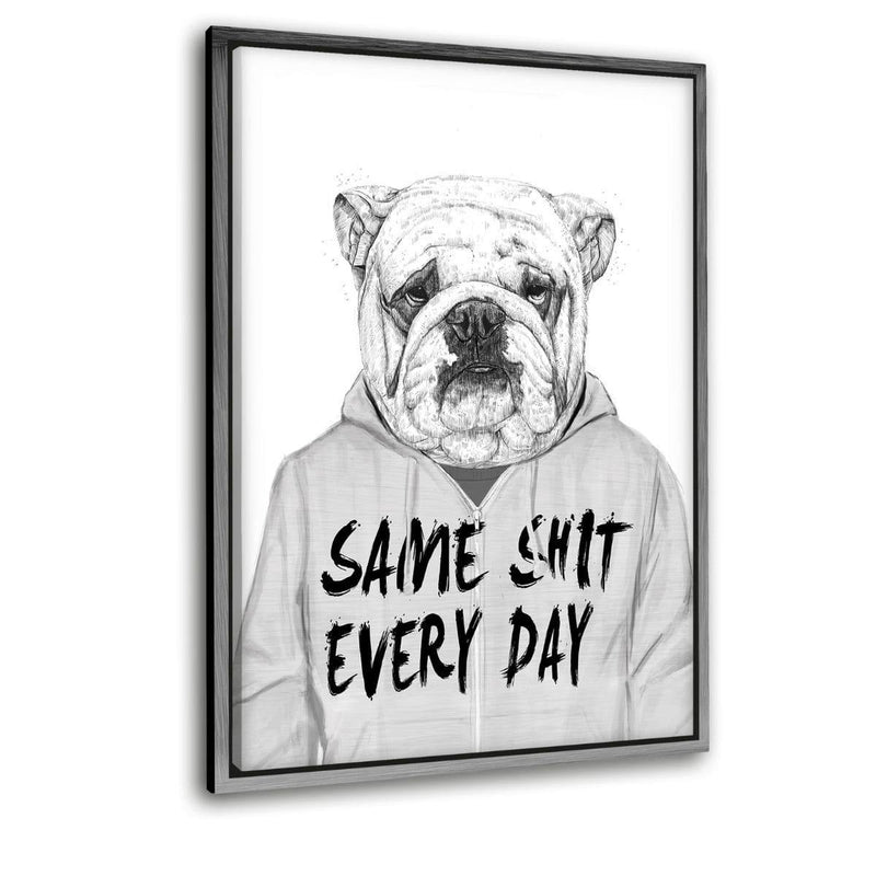Same Shit Every Day - Leinwandbild mit Schattenfuge "silber" - Hustling Sharks