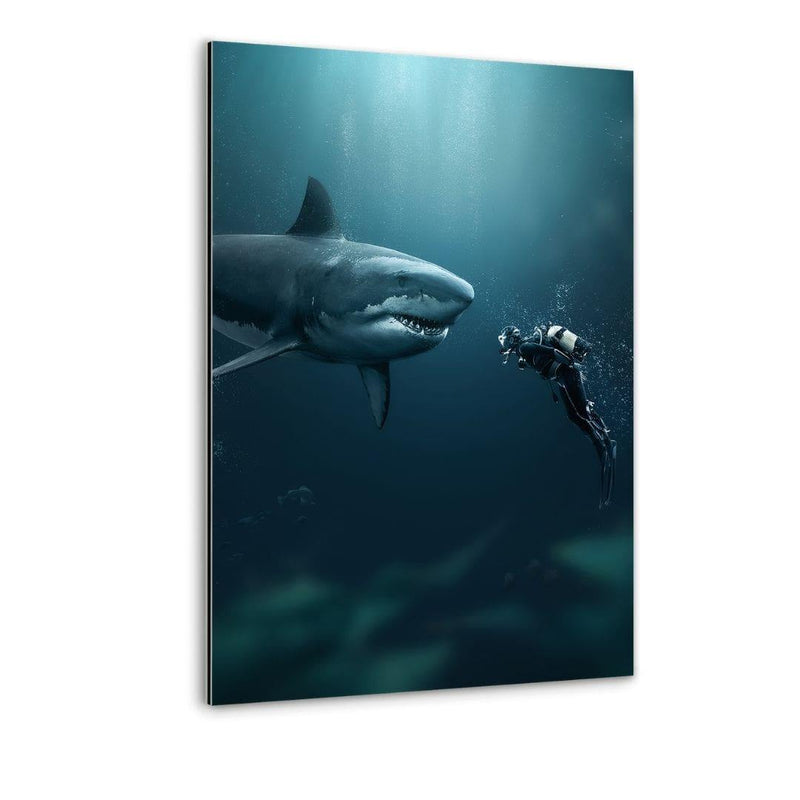 Shark x Diver - Alu-Dibond Bild - Hustling Sharks