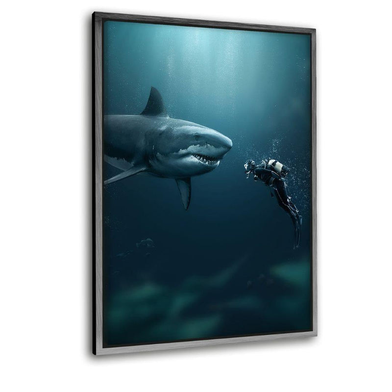 Shark x Diver - Leinwandbild mit Schattenfuge "silber" - Hustling Sharks