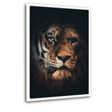 Tiger Lion - Leinwandbild mit Schattenfuge "weiß" - Hustling Shark